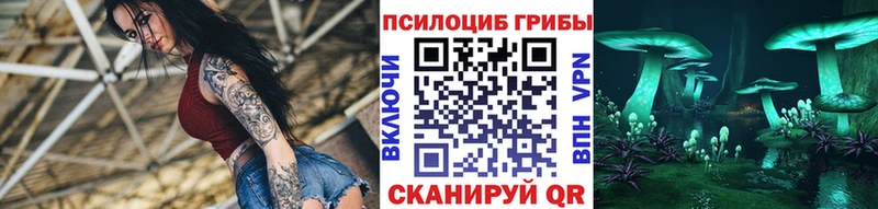 Галлюциногенные грибы Magic Shrooms  Александровск 